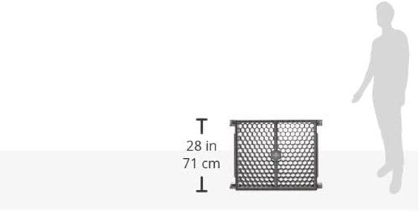 Slide 5