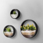 Pack of 3 Wall Planters,Modern Round Glass Wall Planter Succulent Planter Circle Iron Hanging Planter Vase for Herb,Small Cactus Perfect for Balcony, Room and Patio Decor (Black)