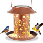 Bird Feeders for Outdoors Dragonfly Solar Lanterns Outdoor Waterproof Garden Decor Gifts for Women Mom Grandma Metal Solar Decoration Outside LED Lanterns for Yard, Patio, Lawn, Pathway, Landscape