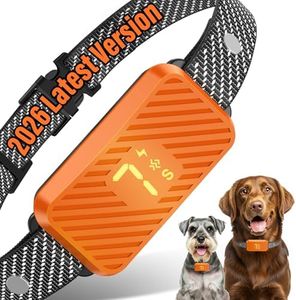 KJKZO Dog