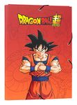 Grupo Erik Dragon Ball Premium A4 File Folder | 13.4 x 10 inches - 34 x 25.5 cm | 3 Flap Folder | Document Organizer | School Folder | Document Folder | Dragon Ball Gifts