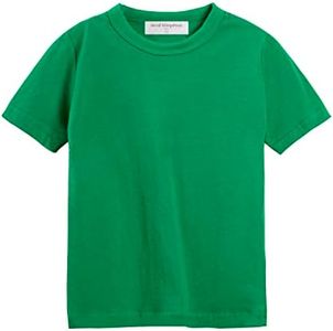 Mud Kingdom Toddler Boys T-Shirt Short Sleeve Summer Holiday Plain Green 2 Years Soft