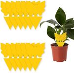 Sticky Fruit Fly Trap, 10 Pcs Yello