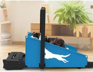 Dog Treadmill for Small & Medium Dogs - Quiet Motor (Under 50dB), Remote Control, 12 Pre-Set Programs, Safety Key & Emergency Stop - Indoor Pet Exercise Machine for Apartments/Homes