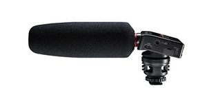 Tascam DR-10SG Shotgun Mic & Digital Recorder for DSLR (