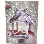 BANBERRY DESIGNS Lighted Cardinals Canvas Print LED Wall Art with Rustic Bird Feeder Berries Snowy Winter Scene - 20 Fiber Optic Lights - Measures 15.75" x 11.75"