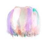 TYEQWT 400 Pcs Feathers for Crafts, Ideal for Wedding Ornament, Feather Mask Making, DIY Feather Boa, Dream Catcher Decoration, Coloured Feathers (Morandi Light)