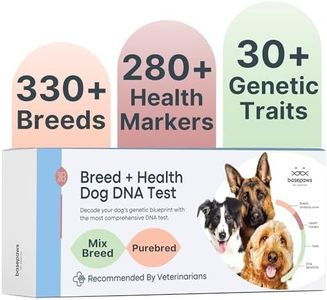 Basepaws Dog DNA Testing Kit - 300+ Breeds, 280+ Health Risks, and 30+ Traits - Comprehensive Mixed Breed Identification, Pet DNA Test kit, Canine Genetic Ancestry and Heritage