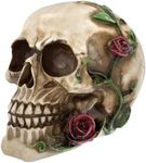 READAEER Human Skull with Rose Resi