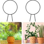 Ingo Metal Plant Stakes | Garden Single Stem or Round Support Sticks |Plant Supporter | Ideal for Orchid, Rose (Round Stem Support, Pack 2)