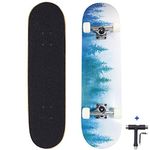 Dreambeauty 31x8 Inch Pro Skateboard Complete,7 Layer Maple Wood Double Kick Concave Skateboards, Tricks Skateboards for Teens, Beginners, Girls, Boys, Kids, Adults (Forest)