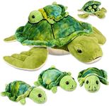 5 Pieces Plush Turtle Set 12 Inch S