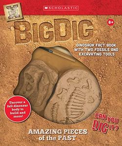 Big Dig Ex