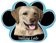 Yellow Labrador Dog Paw Non-Slip Mousepad