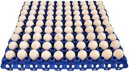 6 RITE FARM PRODUCTS 90 Egg Plastic Trays for Quail Pigeon Dove Bird Flat Carton