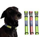 Rishvaana Reflective Collars for Stray Dogs | Assorted Colours | Durable & Sturdy | Lightweight, high Visibility at Night for Street Dogs | Easy tp Put on and Focused on Stray Dogs (Pack of 3)