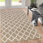 SHACOS Indoor Doormat for Entryway 36"x59" Large Washable Front Door Rug Entry Rugs Entrance Rugs and Mat Low Profile Dirt Trapping Floor Mat for Mud Room Kitchen Laundry Room (36"x59", Beige)