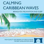 Calming Caribbean Waves - Nature So