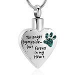 memorial jewelry No Longer by My Side,But Forever in My Heart Carved Locket Cremation Urn Necklace for Pet Dog Cats (Green, Stainless-Steel)