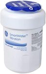 GE MWF Refrigerator Water Filter, G