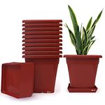 Livzing Square Plastic Flower Pot with Bottom Tray Set - 9 Inch, Pack of 10 (Brown), Garden Planters with Drain Holes for Home Plants,Plastic Pots for Indoor and Outdoor Gardening with Drip Tray