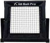 All Ball Pro Mini Pro Multi Sport R