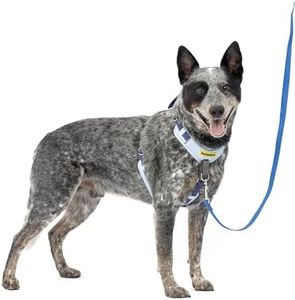 PetSafe Ea