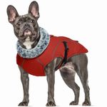 Dog Coat Waterproof, Winter Dog Jacket Cold Weather Warm Vest Dog Adjustable Winter Clothes with Safe Reflective Strips&Harness Hole for Medium Dogs(Red, M)