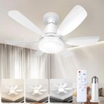 Ealken Socket Fan Light Ceiling Fan