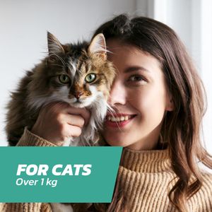 FleaSolve Cat Flea Treatment, 6-Pack – Fast-Acting Flea Control