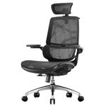 SIHOO M59AS Ergonomic Office Chair, Desk Chair with 3D Coordinated Flip-up Armrests, Computer Chair with Dual Back Design and Adaptive Dynamic Lumbar Support(Black)