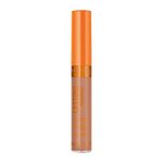 Rimmel Lasting Radiance Full Coverage Concealer and Eye Illuminator, SPF 25, 80 Chestnut (Rimmel Wake Me Up Concealer Upgrade)