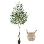 Warmplants Artificial Olive Tree, 7ft Tall Fake Olive Leaves Plant with Basket, Indoor Outdoor Faux Olive Topiary Silk Tree for Home Livingroom Office Décor