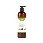 NATUUR - Aloe Hibiscus & Curry Leaves Shampoo - 500ml | Plant-Based Formula | For Soft and Smooth, Healthy Hair | Natural Ingredients