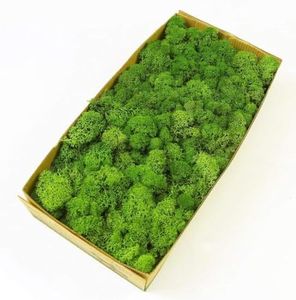 Prefleur P