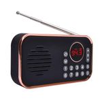 Pagaria Pocket FM Radio, 5 Watts with Bluetooth/USB/TF, Type C Charging, Earphone, Rechargeable, Model: WALKIE (Black)