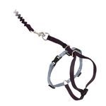 PetSafe Come with Me Kitty Harness and Bungee Leash, Harness for Cats, Large, Black/Silver