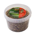 Extra Select Dried Mealworms Wild Bird Feed Treat, 500 ml