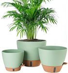Fielda 8/10/12 Inch Self Watering P