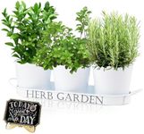 Indoor Herb Garden Planter Set of 3 with Tray, Modern Decorative Herb Garden Planter Indoor Kit for Kitchen Window Sill or Countertop, Grow Fresh Herbs at Home