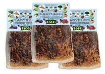 Clark&Co Organic 3x1500 Live Ladybugs Live Ladybugs - Good Bugs - Guaranteed Live Delivery!…