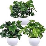 Winlyn 3 Pcs Small Potted Plants Pr