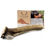 Antler Chew Antler Dog Chews Extra Large (weight 250-350g, From 15cm) Sanded, Naturally Shed, Ideal Toys for Chewers, Supports Dental Health, Long-Lasting, Odorless