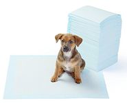 24x7 eMall 40 Pcs Puppy Training Pad 60 x 60 Cm ~ Pee Pads Ideal for House Breaking and Potty Training. (Large 60 X 60 CMS, 40)