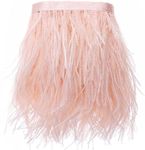 2 Yards Ostrich Feathers Fringe Trims - for DIY, Dress Sewing Crafts Costumes Carnival, Halloween, Handwerk Decoration (Champagne)