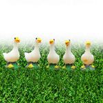 Bloom Bagicha Miniature Ducks for Fairy Garden/Landscaping/Tray Gardening/Terrariums - Set of 5pcs