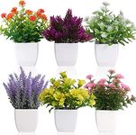 Rxinlucky 6pcs Artificial Mini Potted Flowers, Artificial Plastic Plant Greenery with Pot for Home, Office Desk Decoration(6pcs Flower)