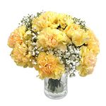 Clare Florist Yellow Carnations Fresh Flower Bouquet - Beautiful Flowers for All Special Occasions