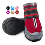 Petsmart Dog Booties