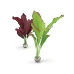 biOrb Silk Plant Pack Medium, Purple/Green, 2 Pack